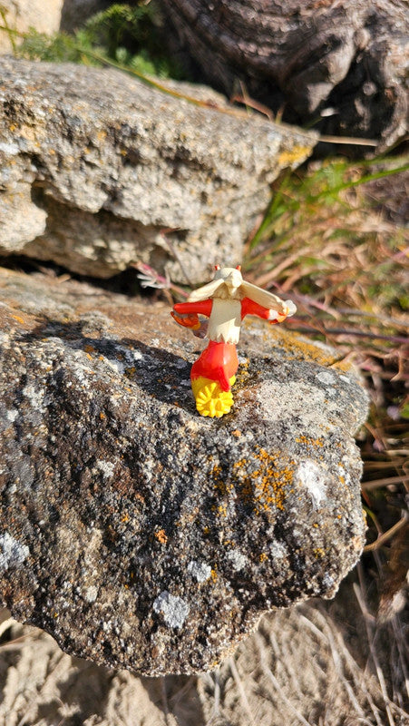 Super figurine Pokemon Nintendo Brasegali