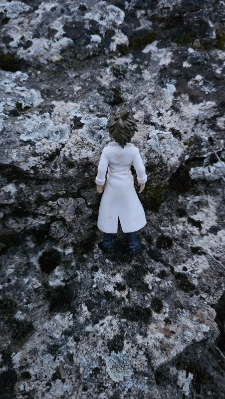 Super figurine Pokemon professeur