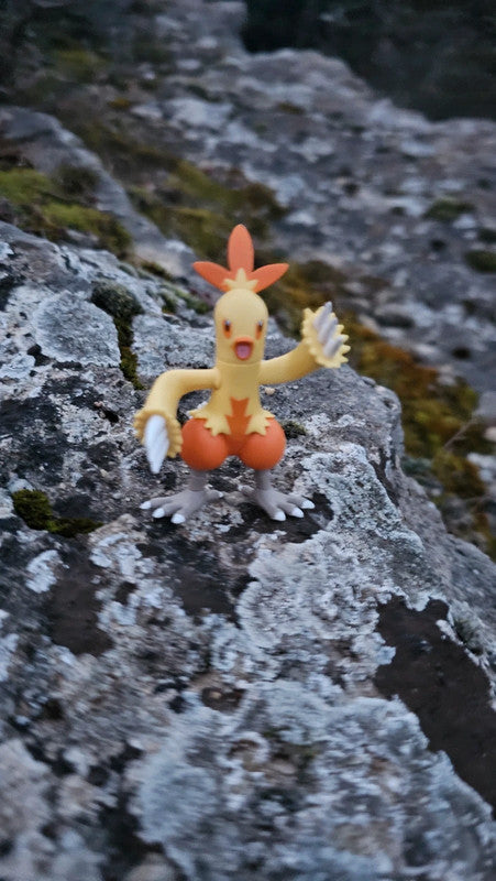 Super figurine Pokemon Nintendo tomy galifeu