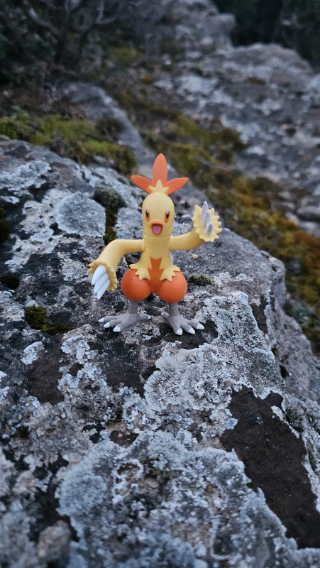 Super figurine Pokemon Nintendo tomy galifeu