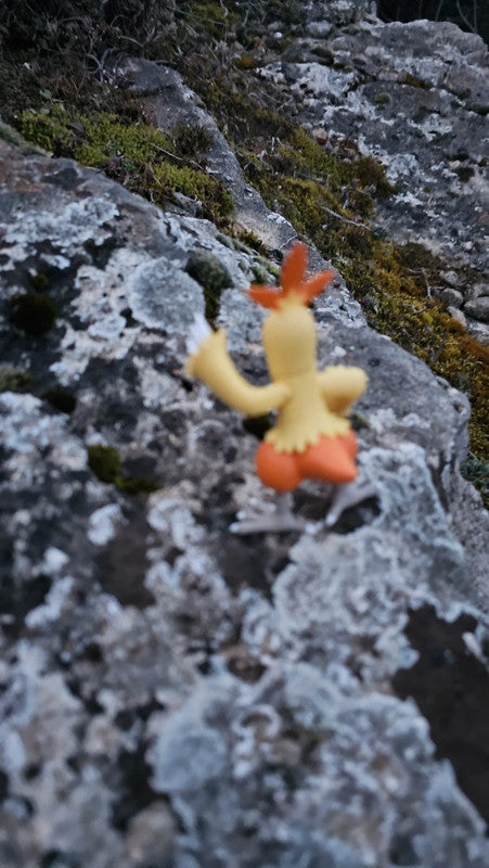 Super figurine Pokemon Nintendo tomy galifeu