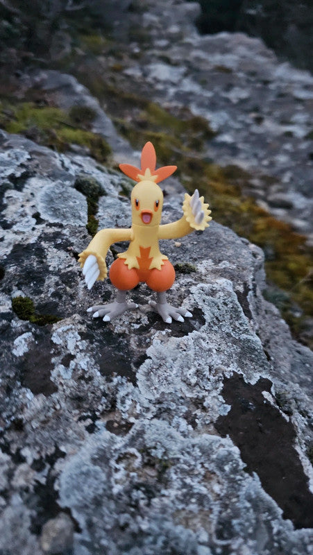 Super figurine Pokemon Nintendo tomy galifeu