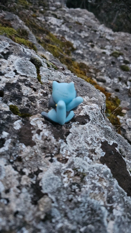 Super figurine Pokemon Nintendo finger puppet riolu