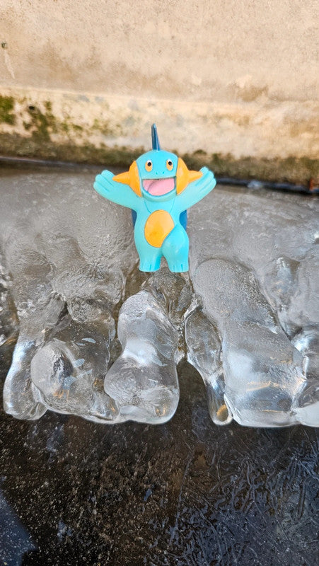 Super figurine Pokemon Nintendo Flobio