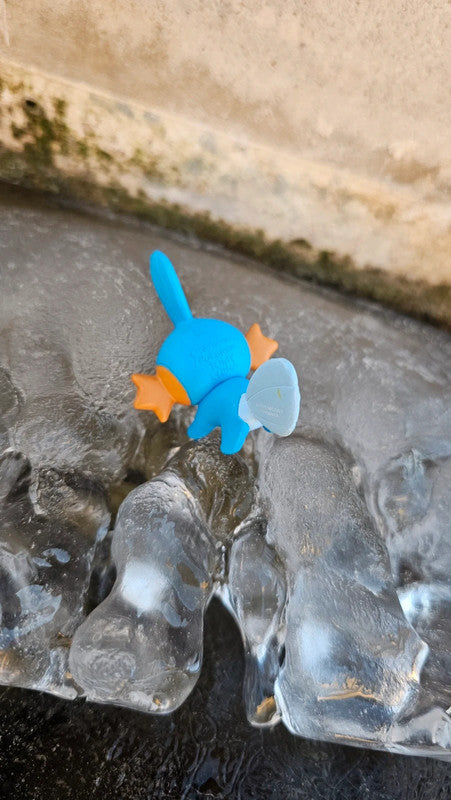 Super figurine Pokemon Nintendo tomy gobou