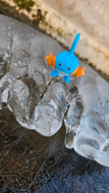 Super figurine Pokemon Nintendo tomy gobou