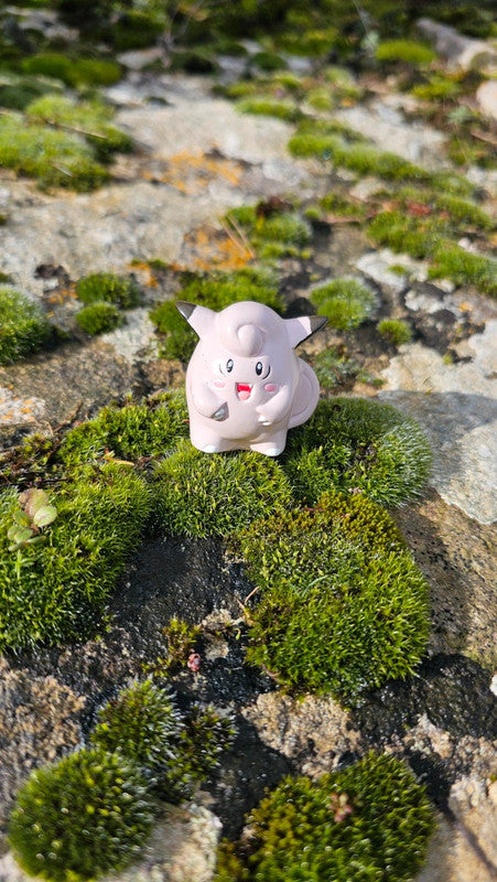 Super figurine Pokemon Nintendo bondai melofee