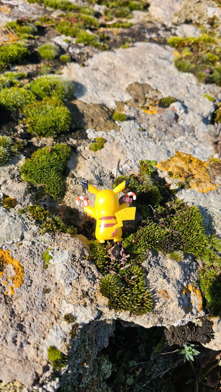 Super figurine Pokemon Nintendo pikachu canne à sucre