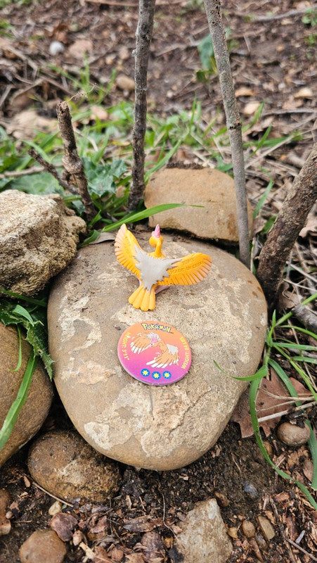 Super figurine Pokemon Nintendo tomy C.G.T.S.J