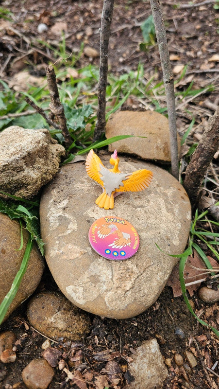 Super figurine Pokemon Nintendo tomy C.G.T.S.J