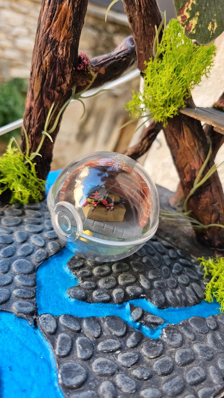 Super figurine Pokemon Nintendo boule terrarium flamiaou