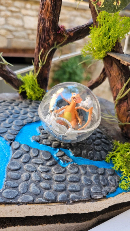 Super figurine Pokemon Nintendo boule terrarium Dracaufeu