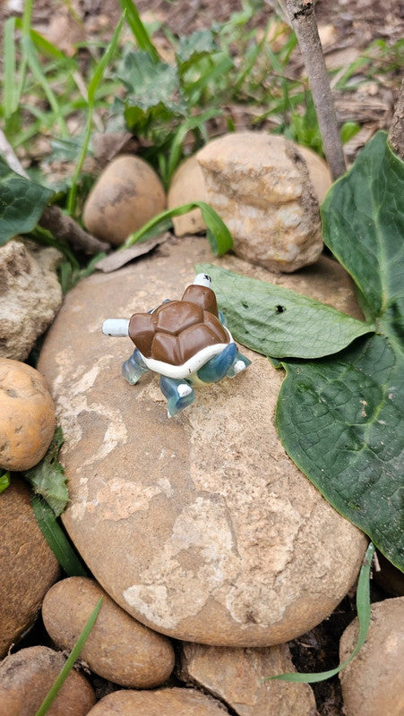 Super figurine Pokemon Nintendo tortank transparente