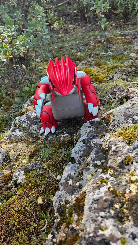 Super grande figurine Pokemon Nintendo tomy groudon