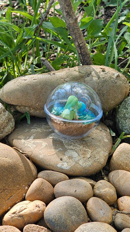 Super figurine Pokemon Nintendo style terrarium Germignon axoloto