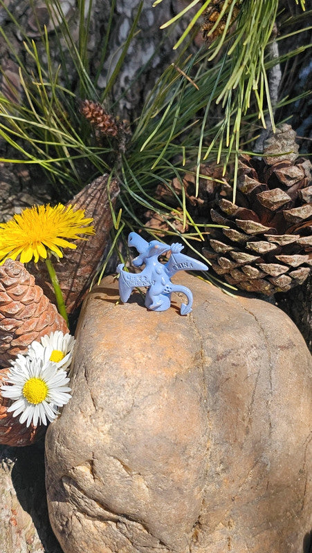 Super petite figurine Pokemon Nintendo Ptera