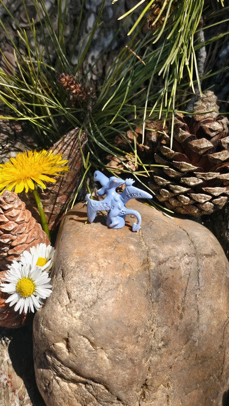 Super petite figurine Pokemon Nintendo Ptera