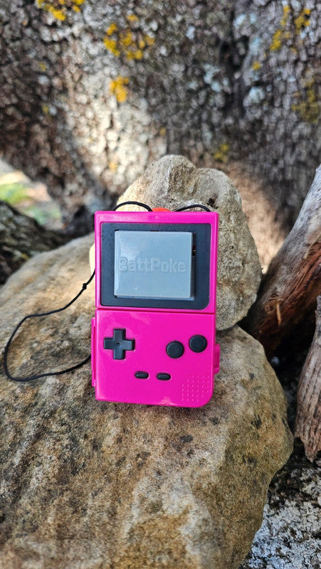 Super figurine Pokemon Nintendo battpoke