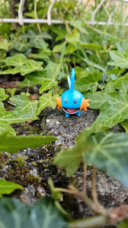 Super figurine Pokemon Nintendo Gobou effet brillant