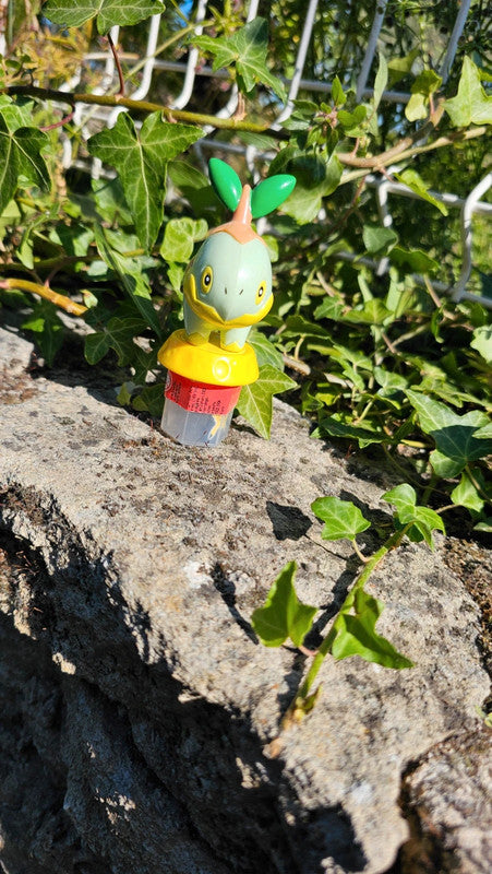 Super figurine Pokemon Nintendo tortipouss