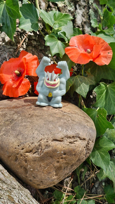 Super figurine Pokemon Nintendo finger puppet mackogneur