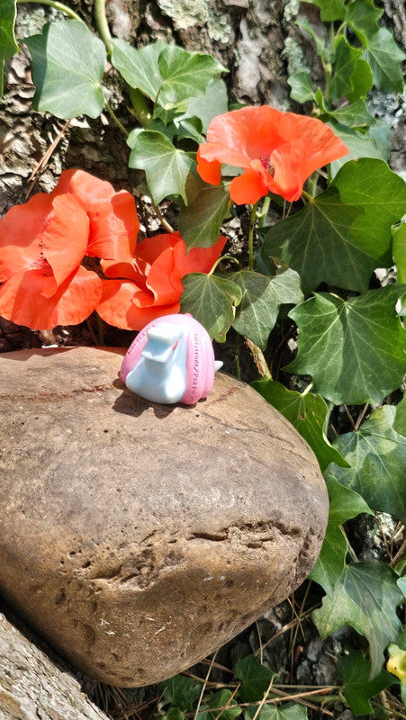 Super figurine Pokemon Nintendo finger puppet crefollet