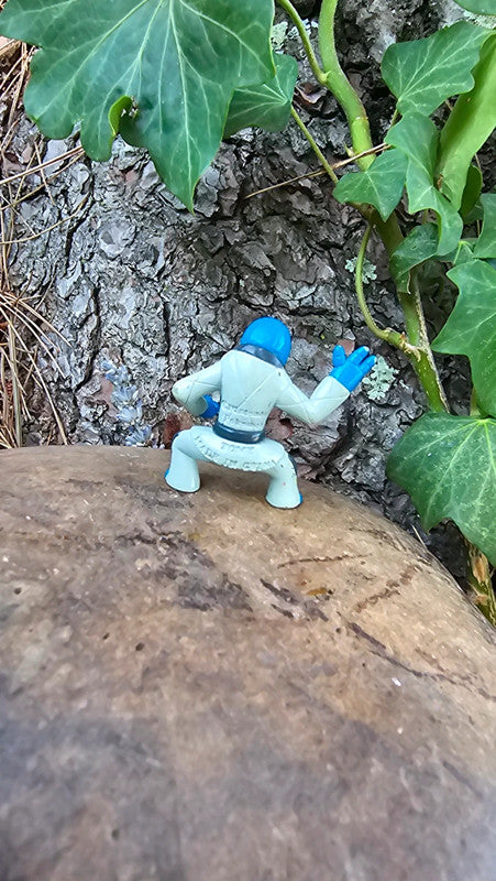 Super figurine Pokemon Nintendo tomy Karaclée