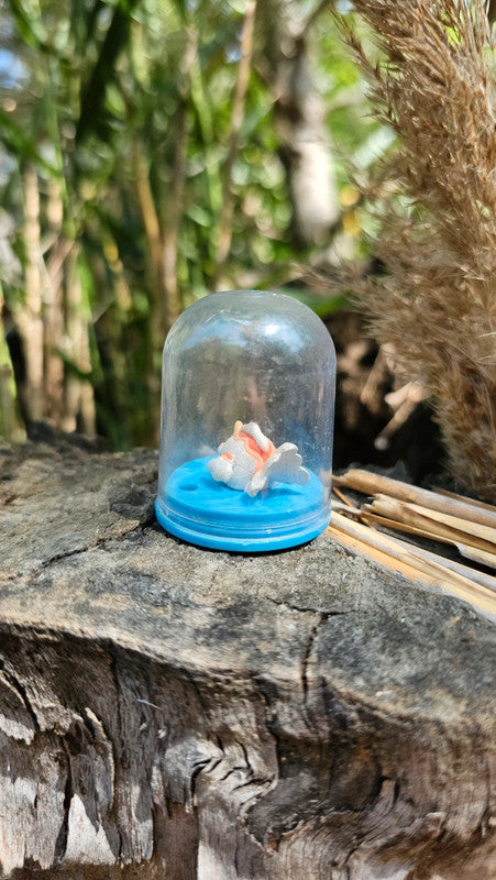 Super petite figurine Pokemon Nintendo Poissirène