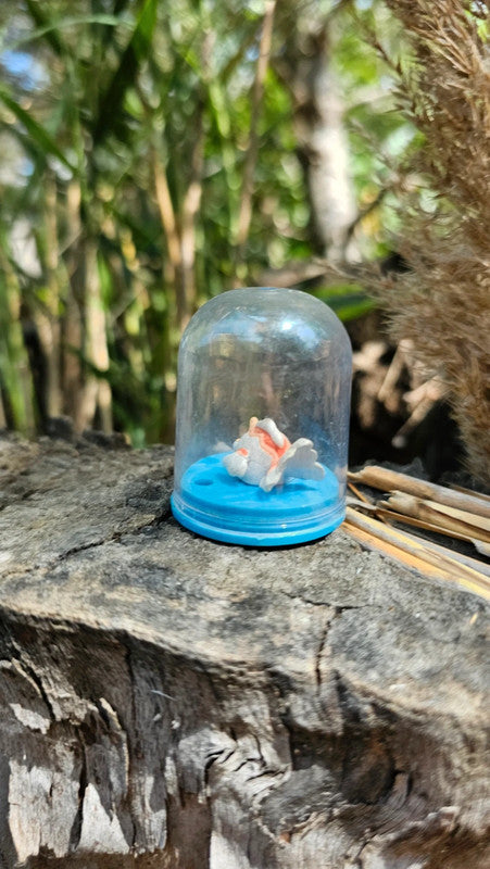 Super petite figurine Pokemon Nintendo Poissirène