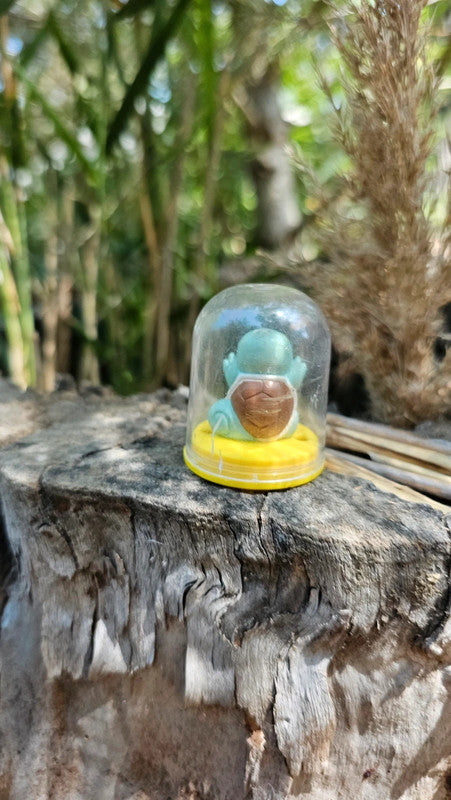 Super petite figurine Pokemon Nintendo Carapuce
