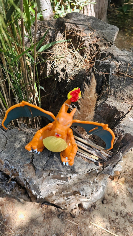 Super grande figurine Pokemon Nintendo Dracaufeu