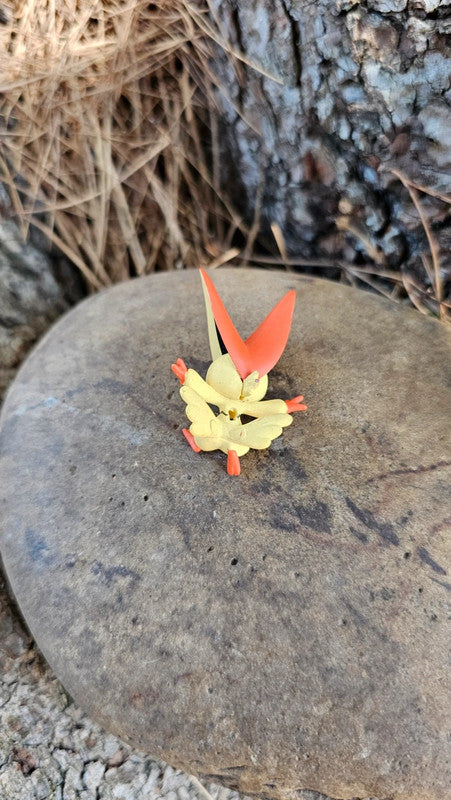 Super figurine Pokemon Nintendo victini