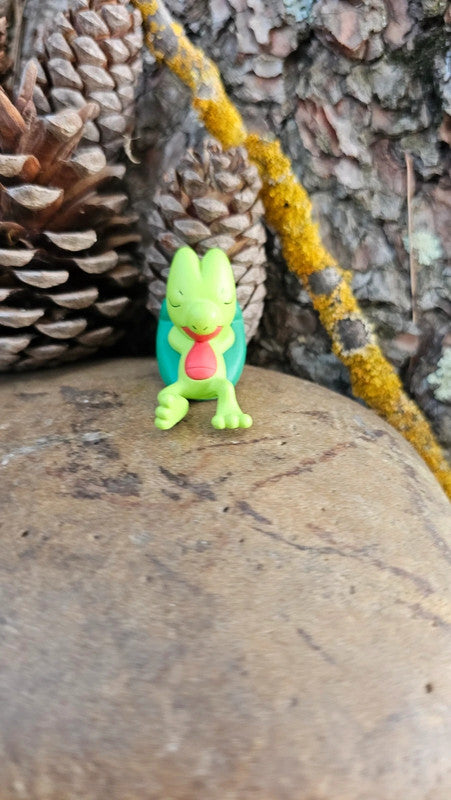 Super figurine Pokemon Nintendo tomy t-art Arcko dodo