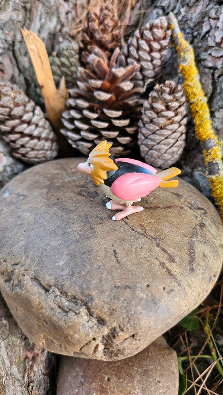Super figurine Pokemon Nintendo tomy C.G.T.S.J Piafabec