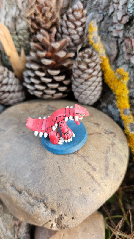 Super figurine Pokemon Nintendo groudon