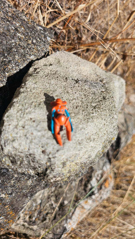 Super petite figurine Pokemon Nintendo Deoxys
