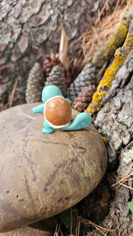 Super figurine Pokemon Nintendo tomy carapuce