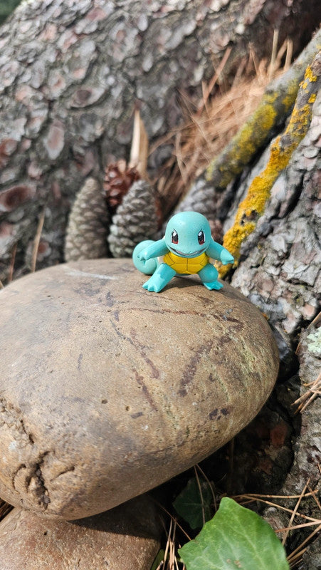 Super figurine Pokemon Nintendo tomy carapuce