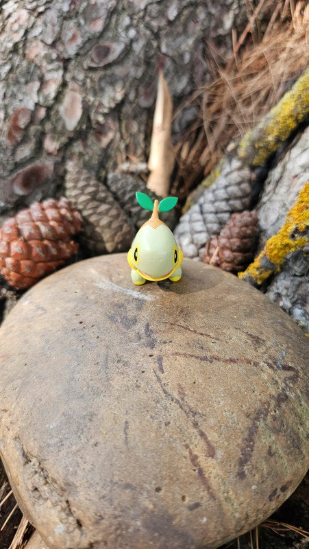 Super figurine Pokemon Nintendo tortipouss