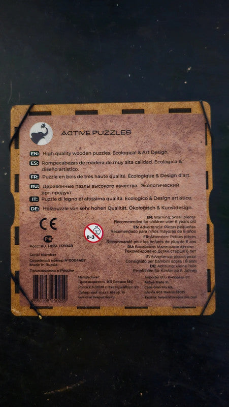 Super puzzle en bois Pokemon de la marque active puzzle