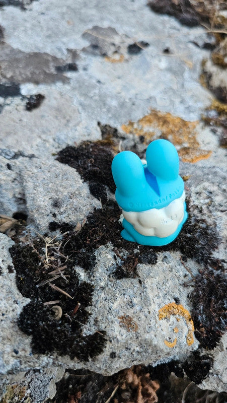 Super figurine Pokemon Nintendo finger puppet Grenousse