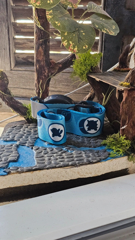 Super ceinture pour pokeball pour figurine Pokemon Nintendo