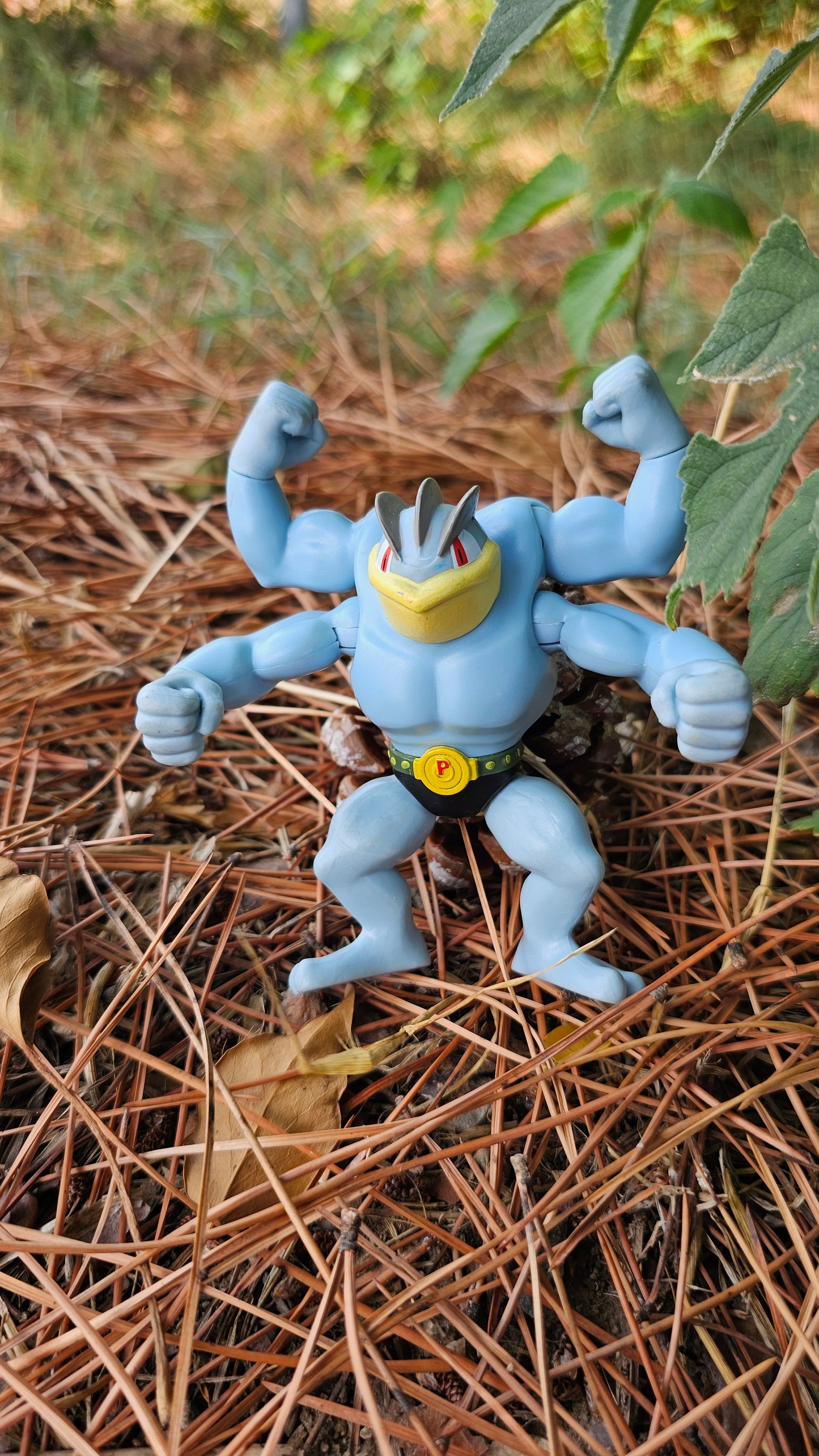 Super figurine Pokemon Nintendo mackogneur