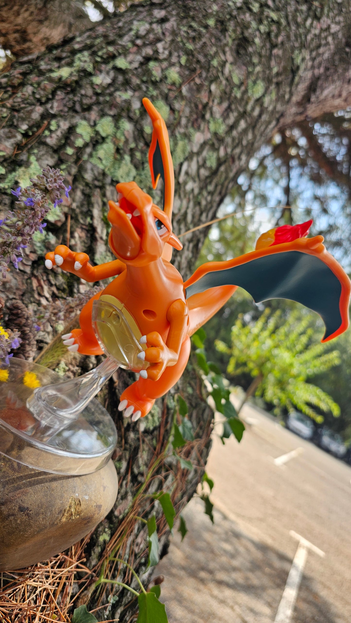 Super grande figurine Pokemon Nintendo Dracaufeu