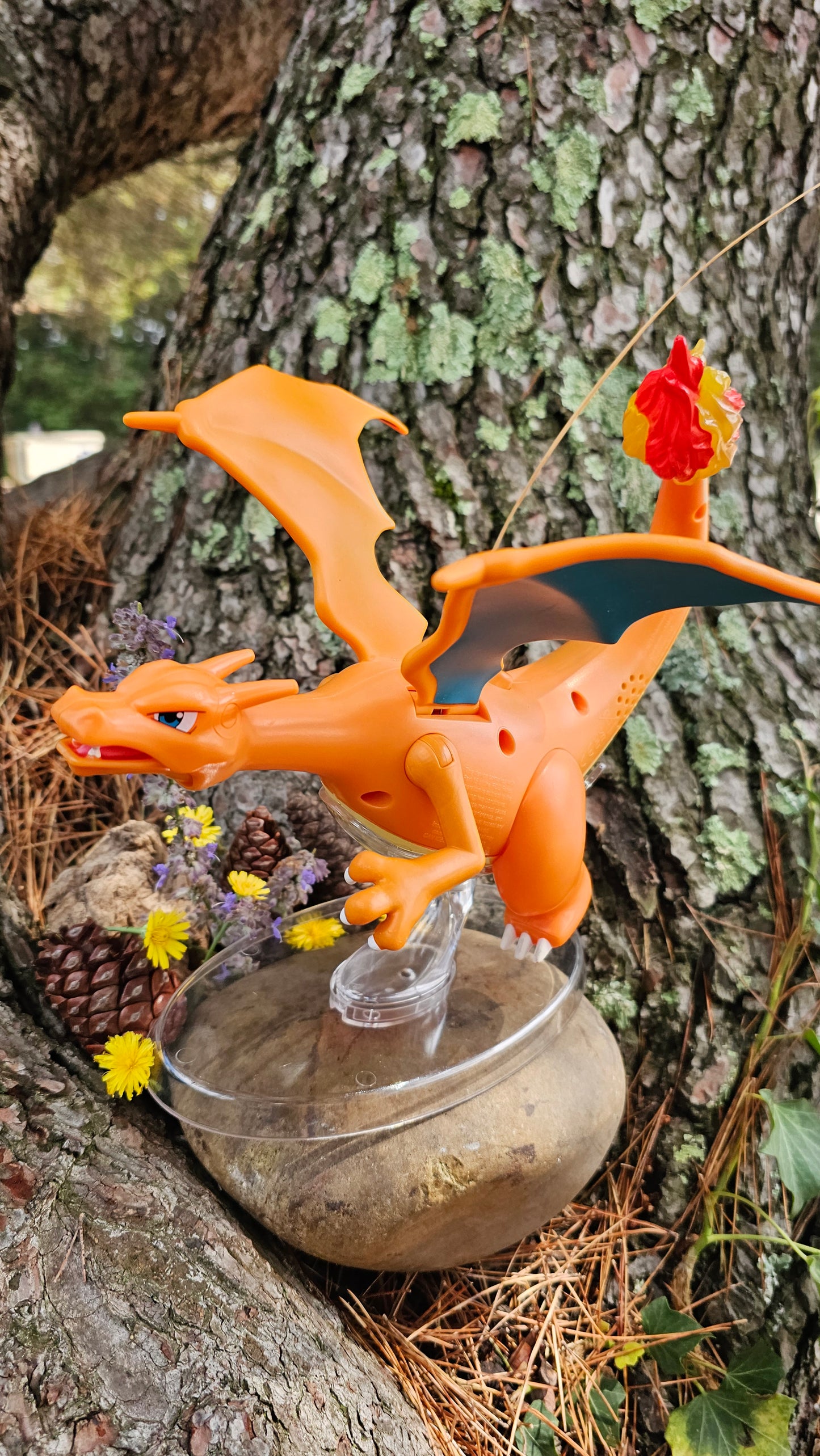 Super grande figurine Pokemon Nintendo Dracaufeu