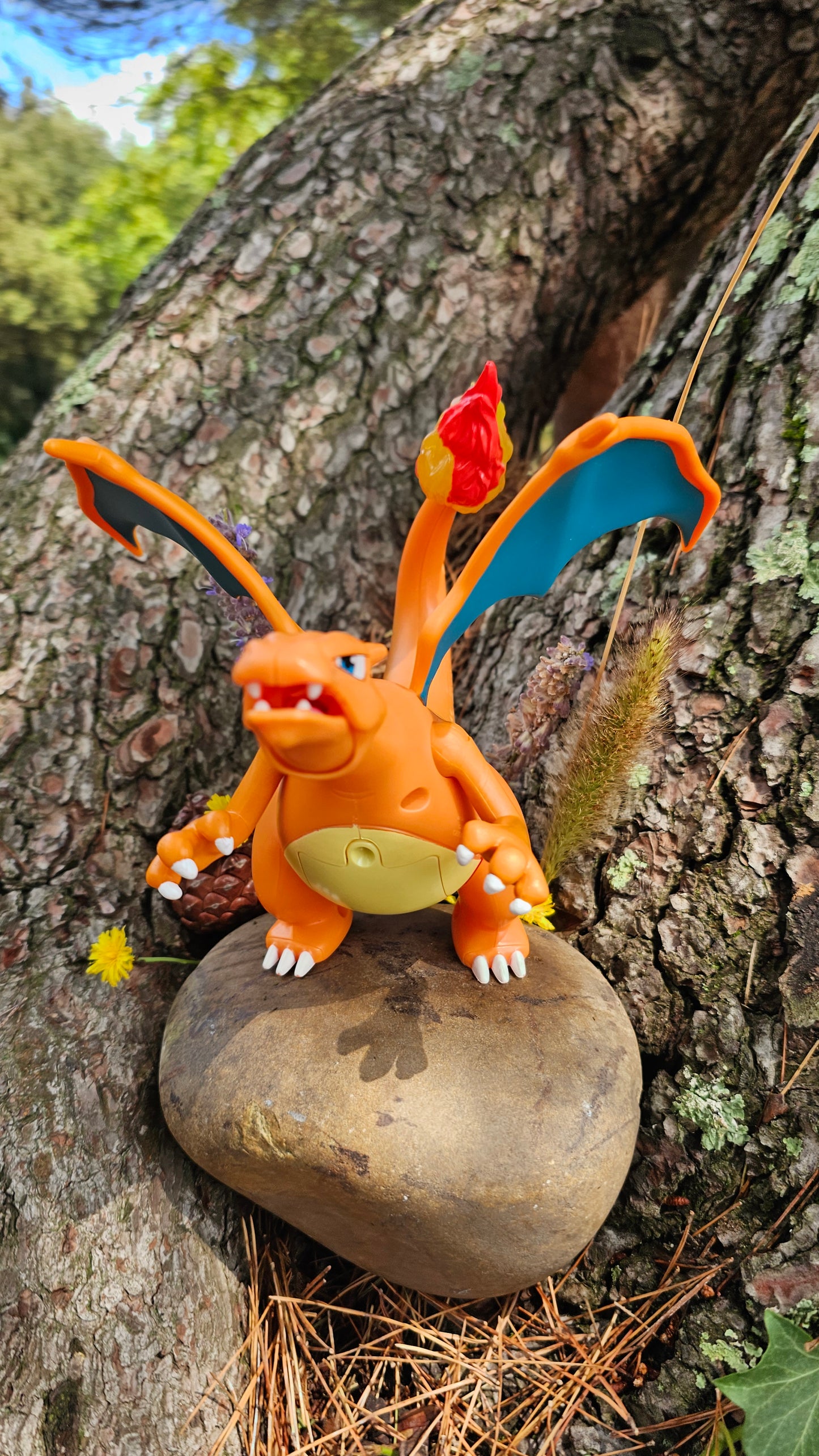 Super grande figurine Pokemon Nintendo Dracaufeu