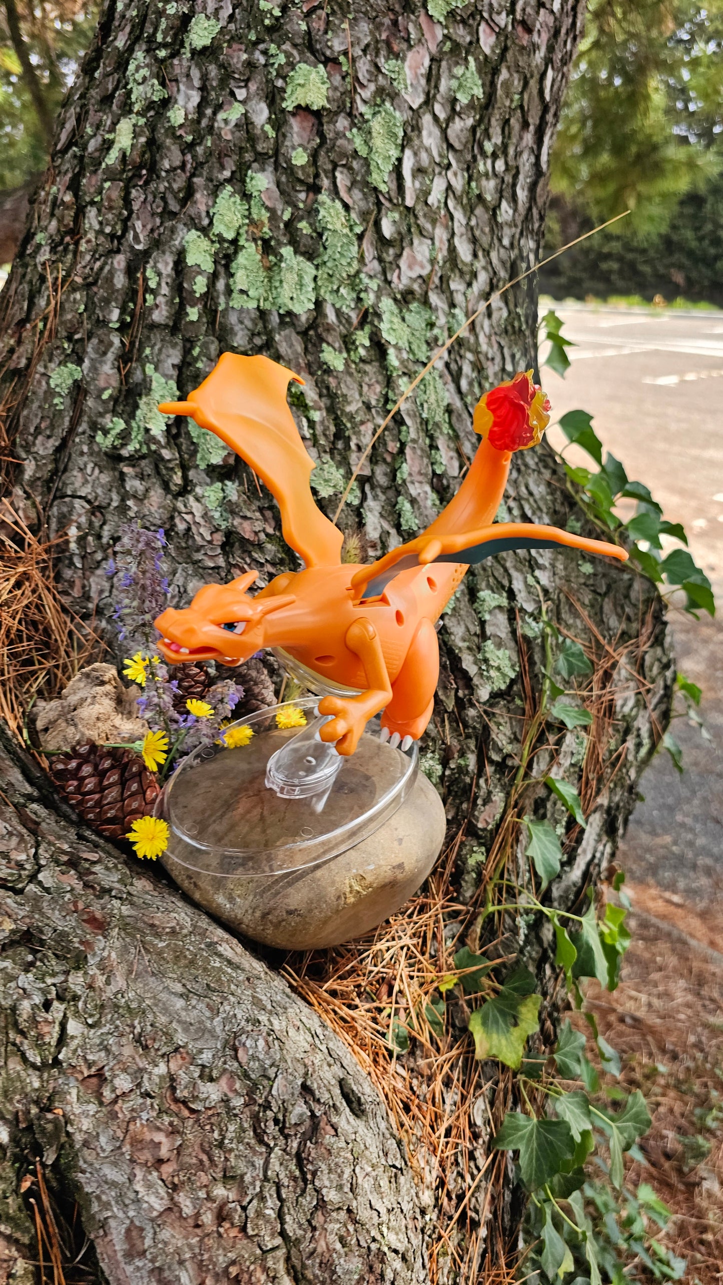 Super grande figurine Pokemon Nintendo Dracaufeu
