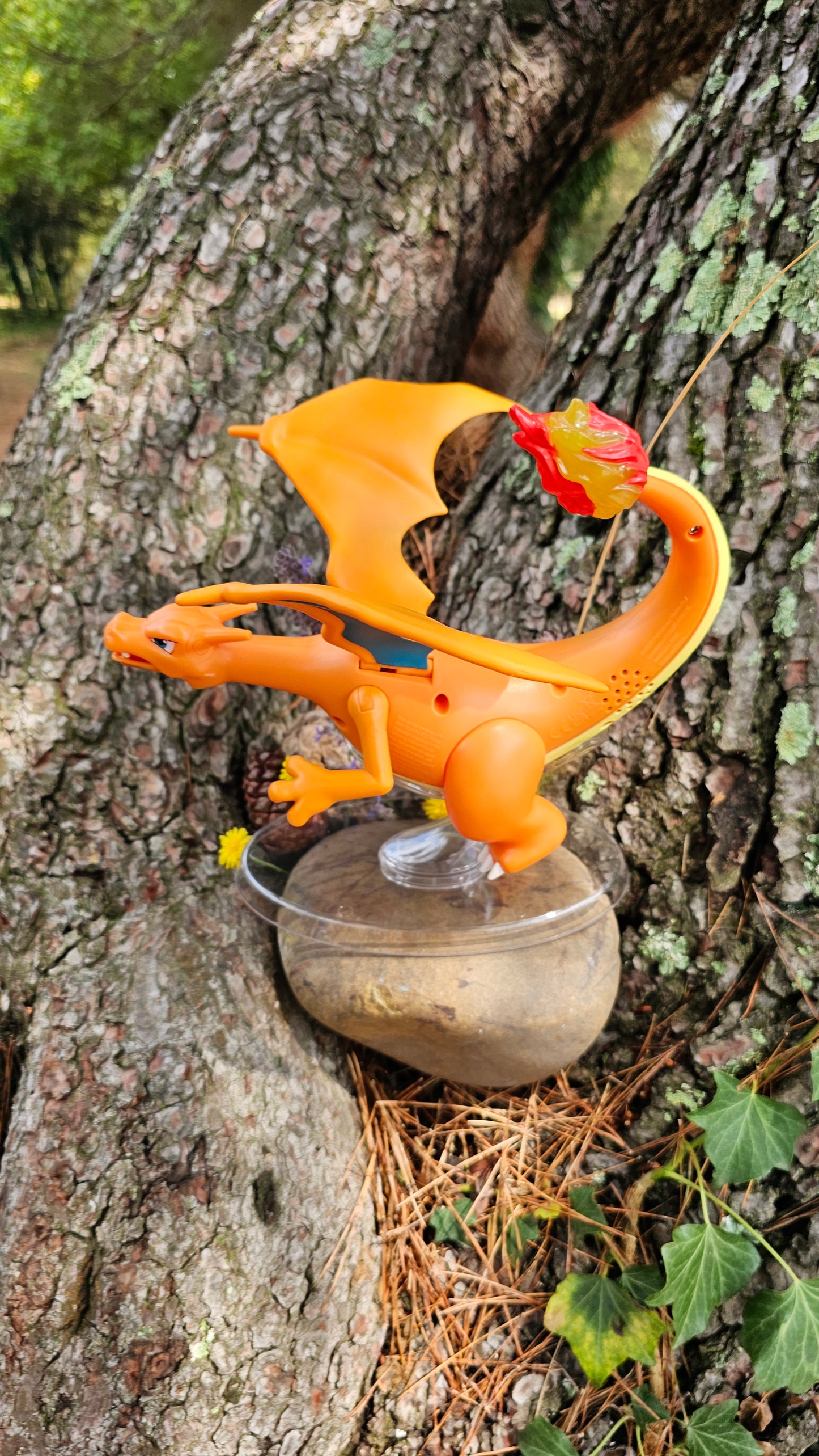 Super grande figurine Pokemon Nintendo Dracaufeu