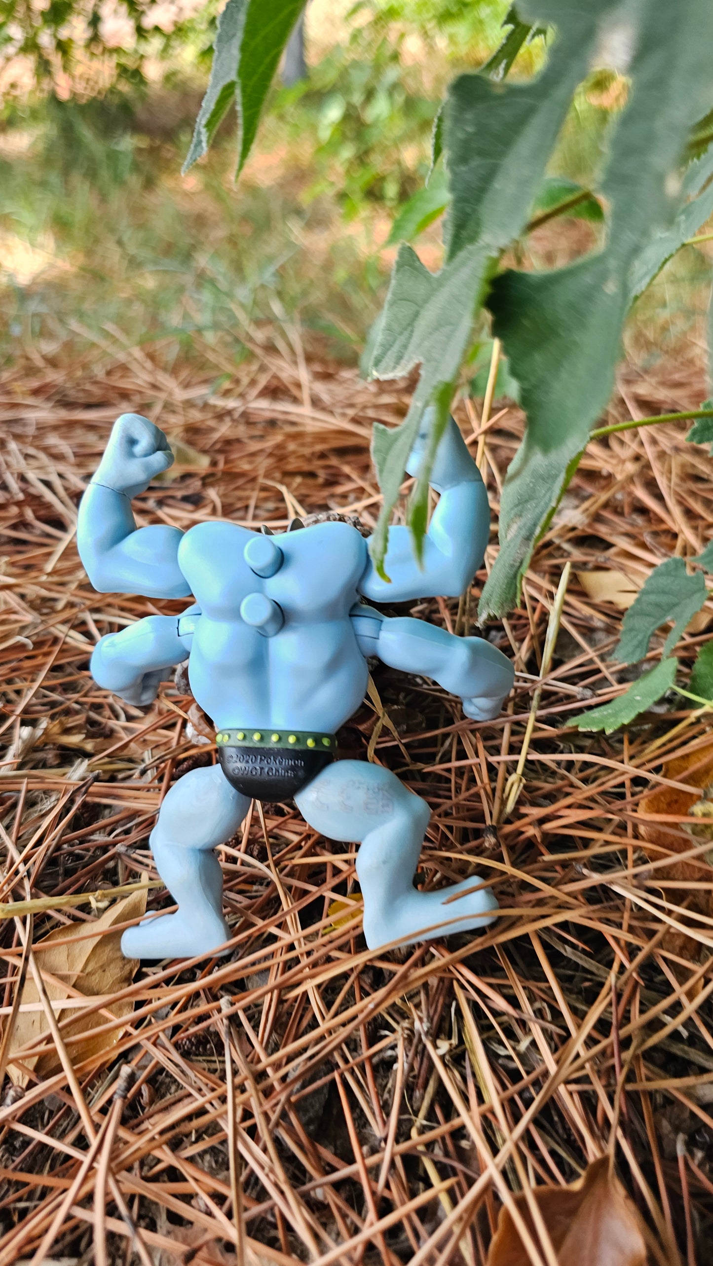 Super figurine Pokemon Nintendo mackogneur