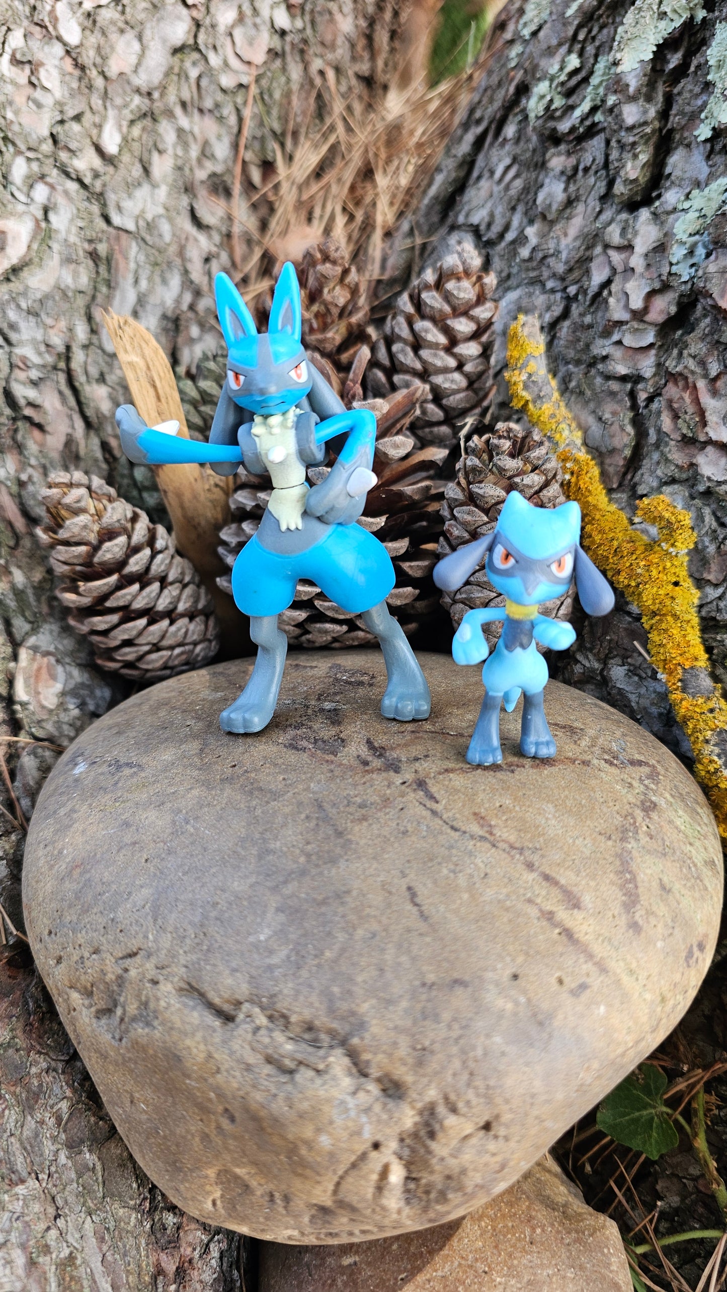 Figurine Pokemon Nintendo Évolution riolu lucario